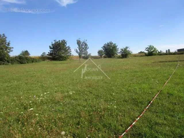 Terrain à VARENNES-SUR-ALLIER