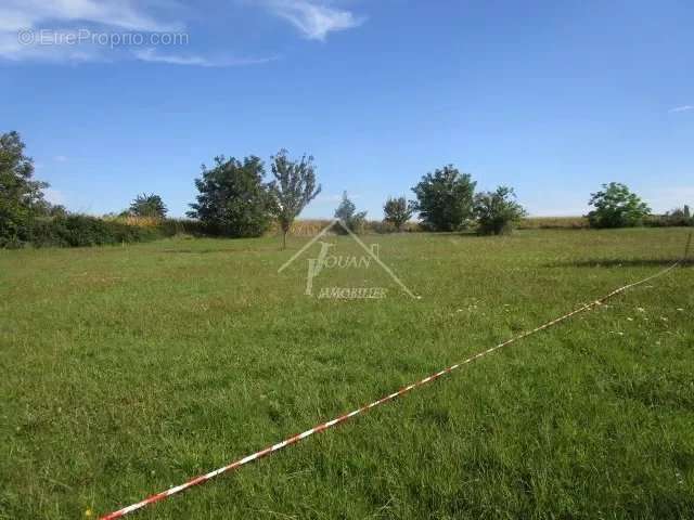 Terrain à VARENNES-SUR-ALLIER