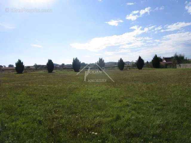 Terrain à VARENNES-SUR-ALLIER