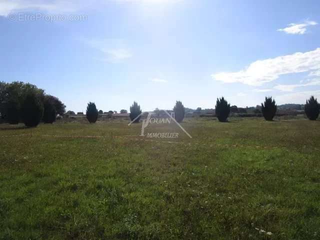 Terrain à VARENNES-SUR-ALLIER