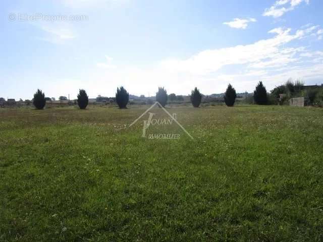 Terrain à VARENNES-SUR-ALLIER