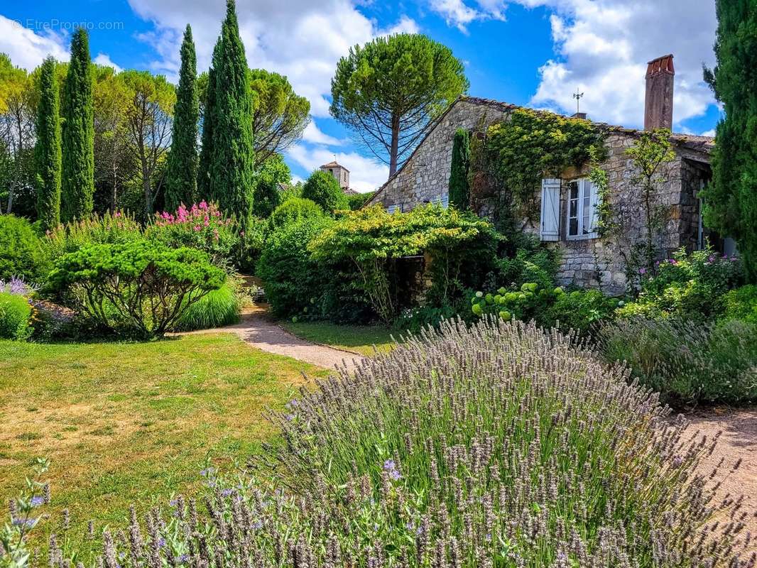 Maison à CORDES-SUR-CIEL