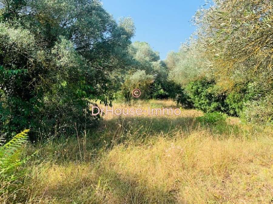 Terrain à UZES