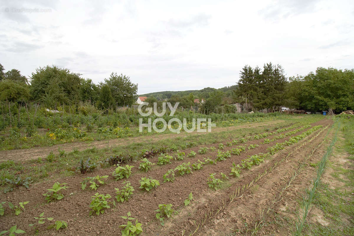 Terrain à RESSONS-SUR-MATZ