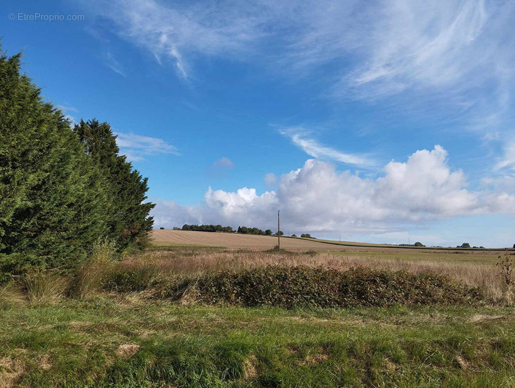 Terrain à COURCOUE