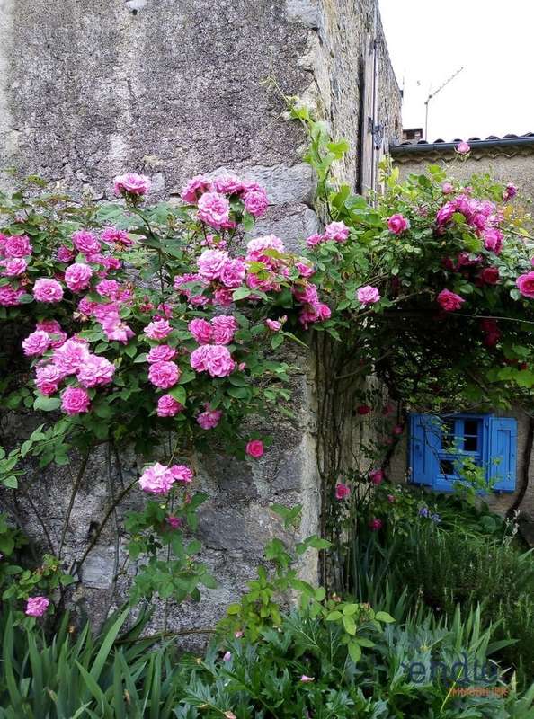 Maison à MONTELS