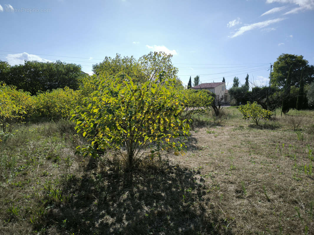 Terrain à SAINT-LAURENT-LA-VERNEDE