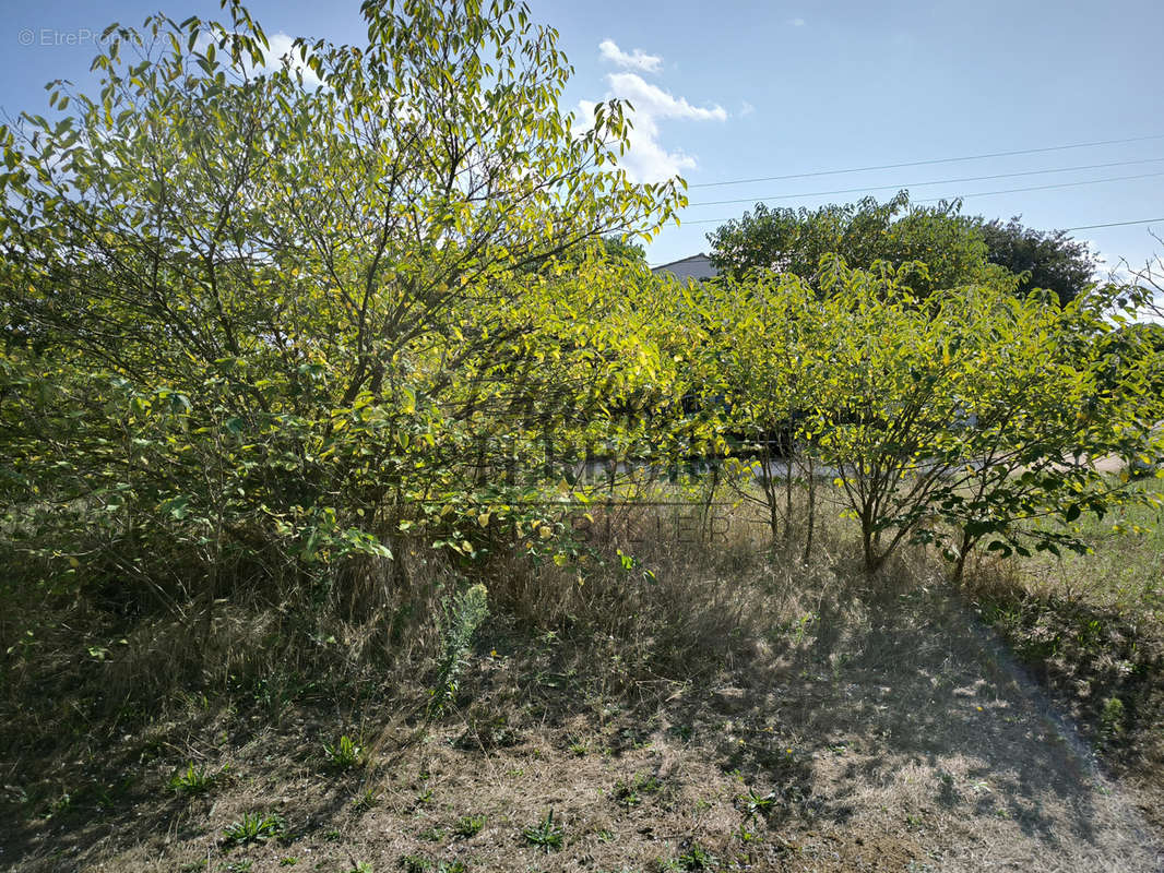 Terrain à SAINT-LAURENT-LA-VERNEDE