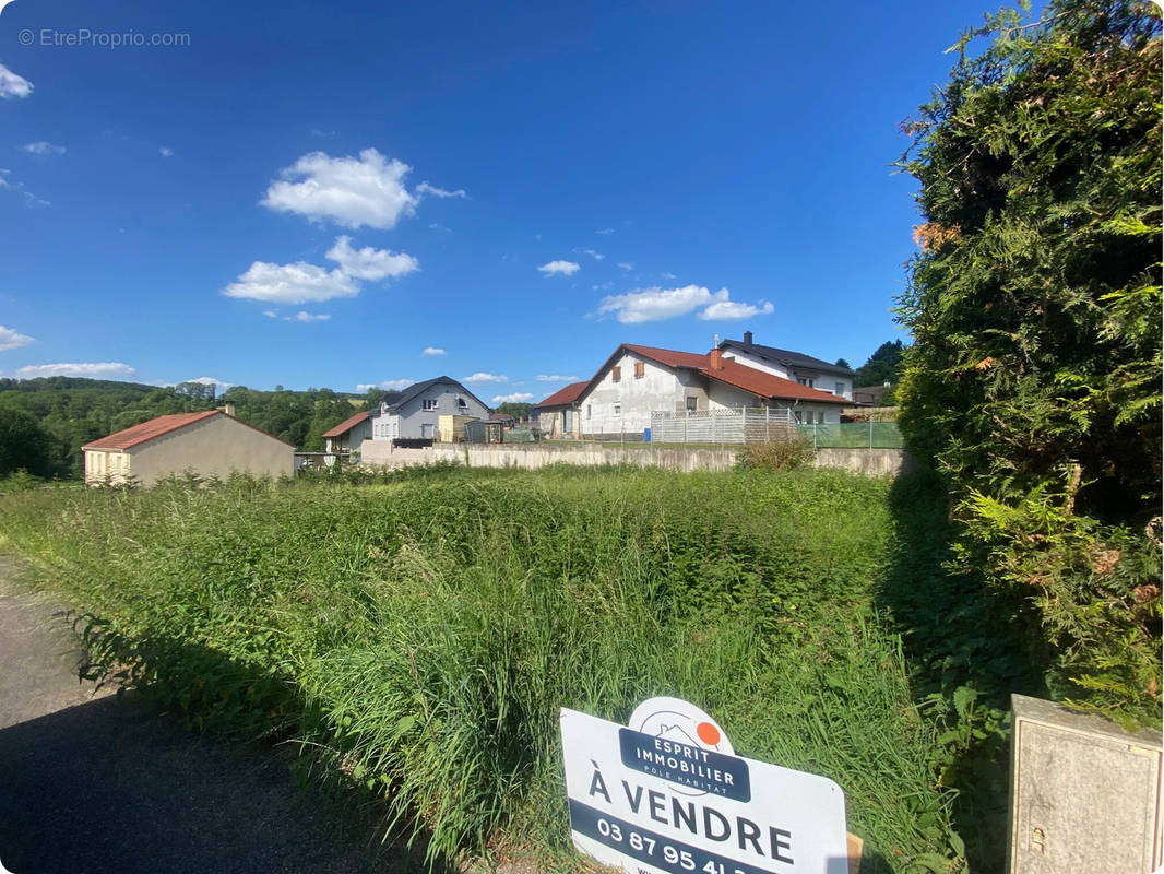 Terrain à WALDHOUSE