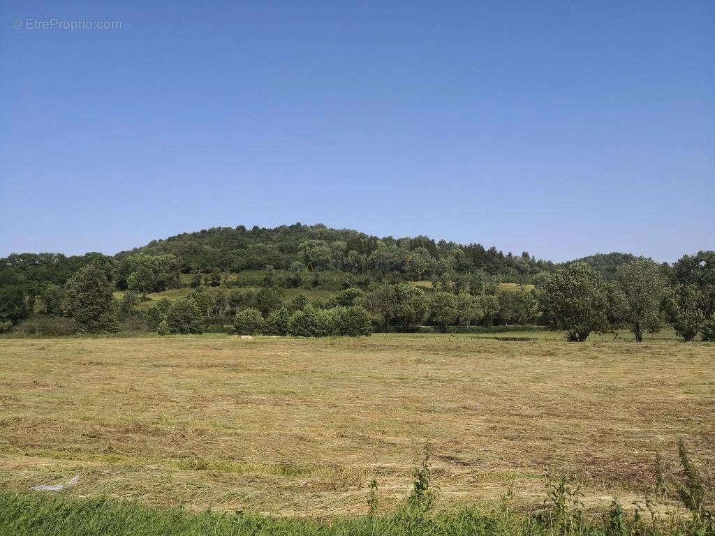 Terrain à BLIGNY-SUR-OUCHE