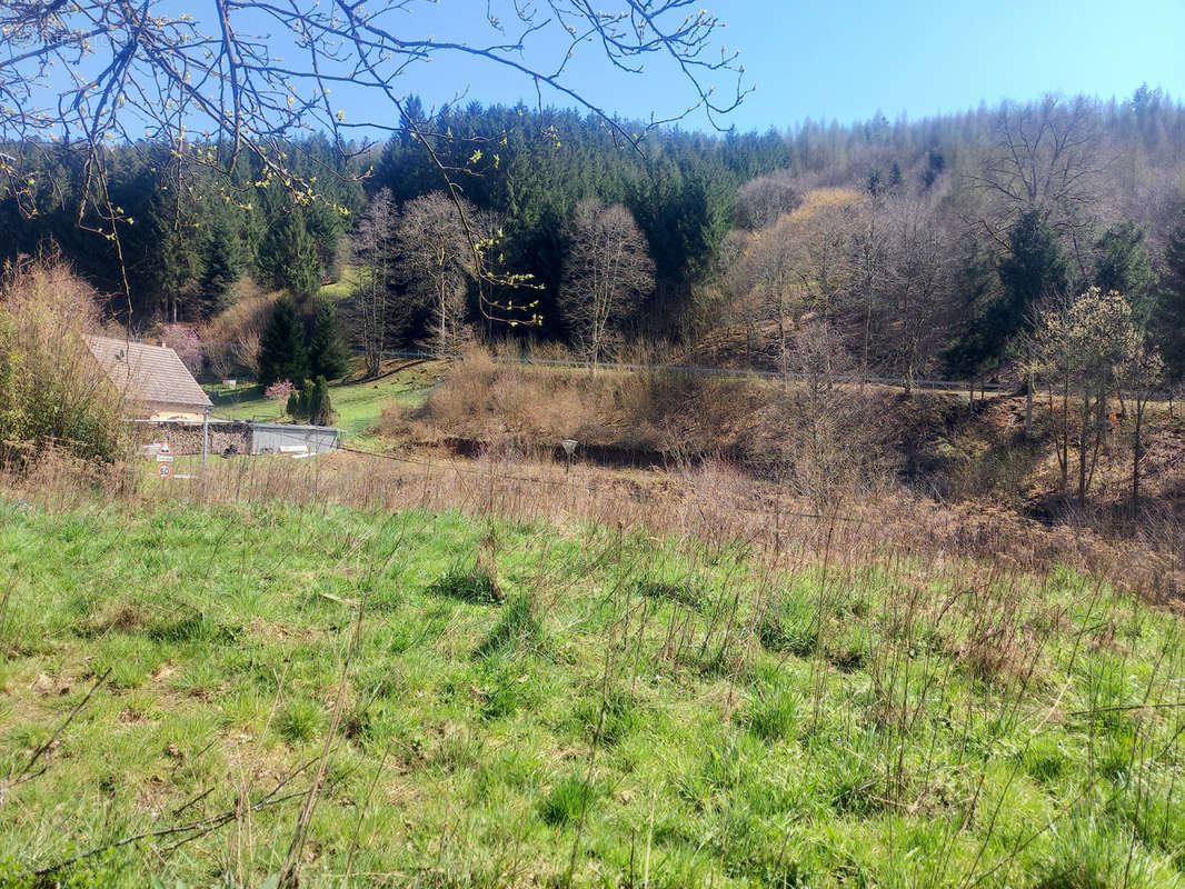 Terrain à GRANDFONTAINE