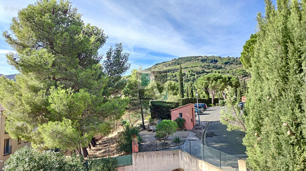 Maison à COLLIOURE