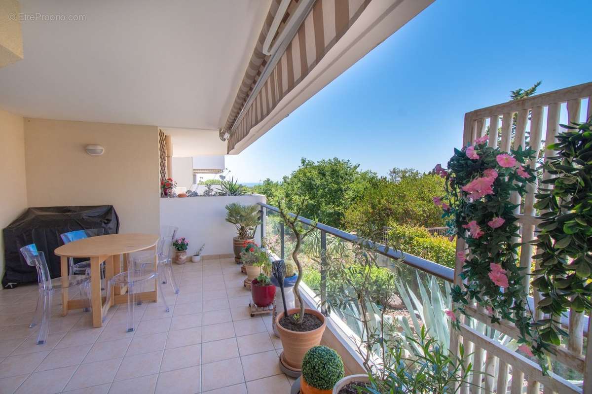 Appartement à SETE