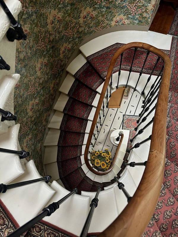 ESCALIER EN COLIMAÇON - Maison à LA REOLE