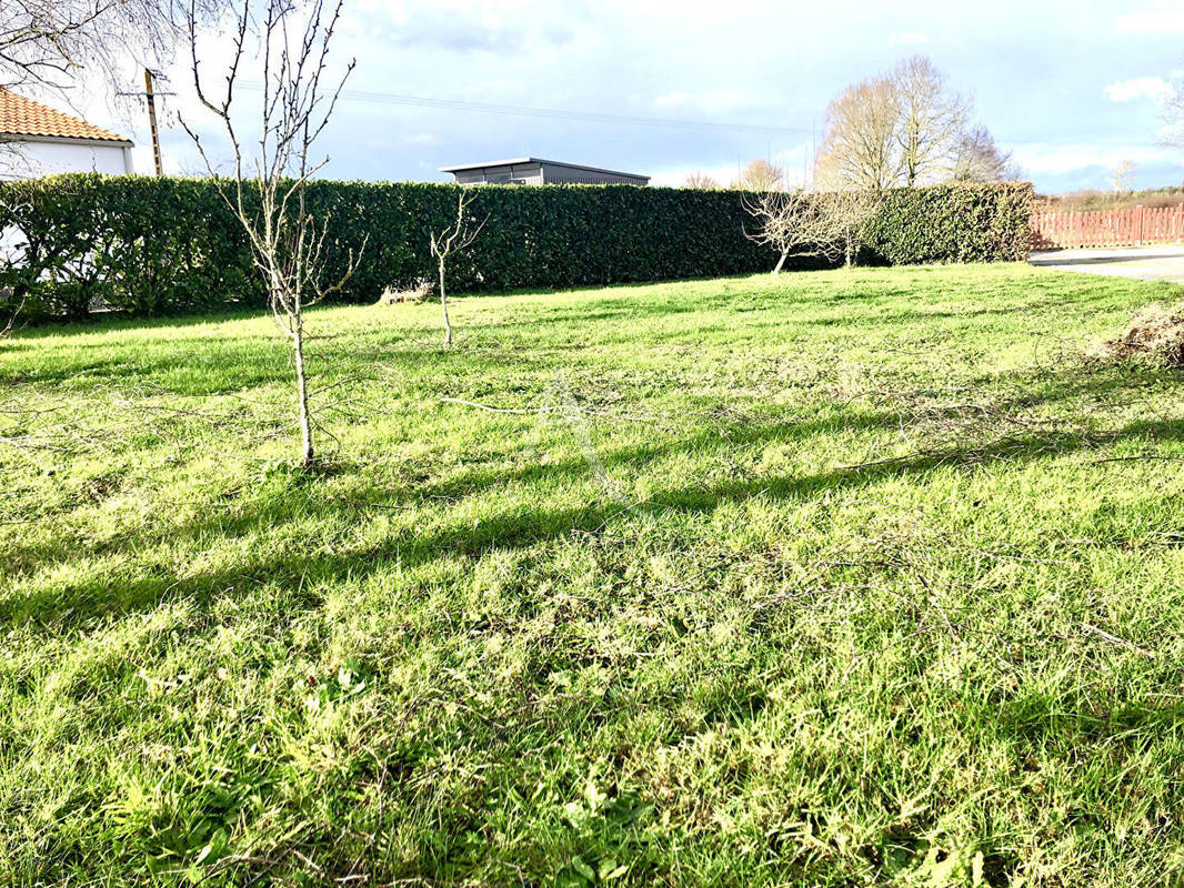 Terrain à VIEILLEVIGNE