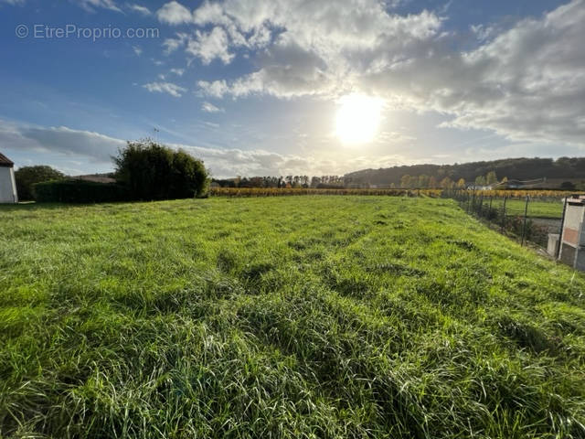 Terrain à BUZET-SUR-BAISE