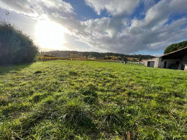 Terrain à BUZET-SUR-BAISE