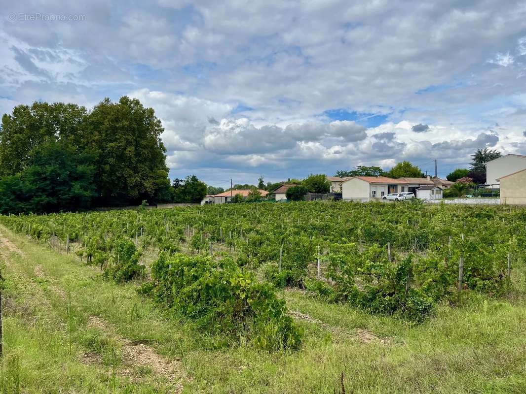 Terrain à CASTRES-GIRONDE