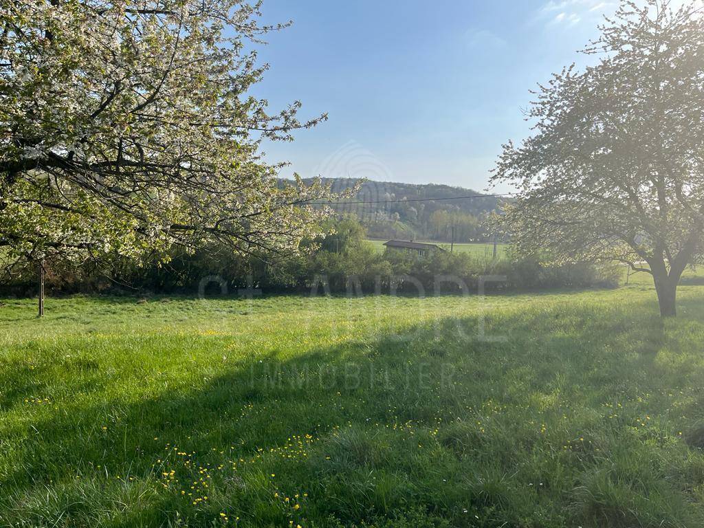 Terrain à SAINT-CLAIR-SUR-GALAURE