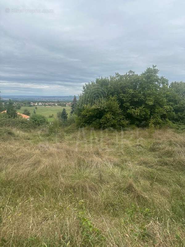 Terrain à SAINT-SIMEON-DE-BRESSIEUX