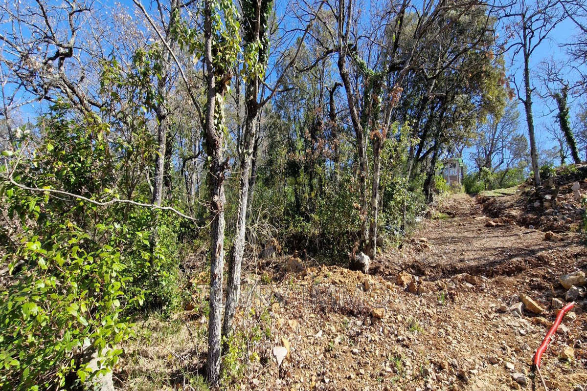 Terrain à TOURVES