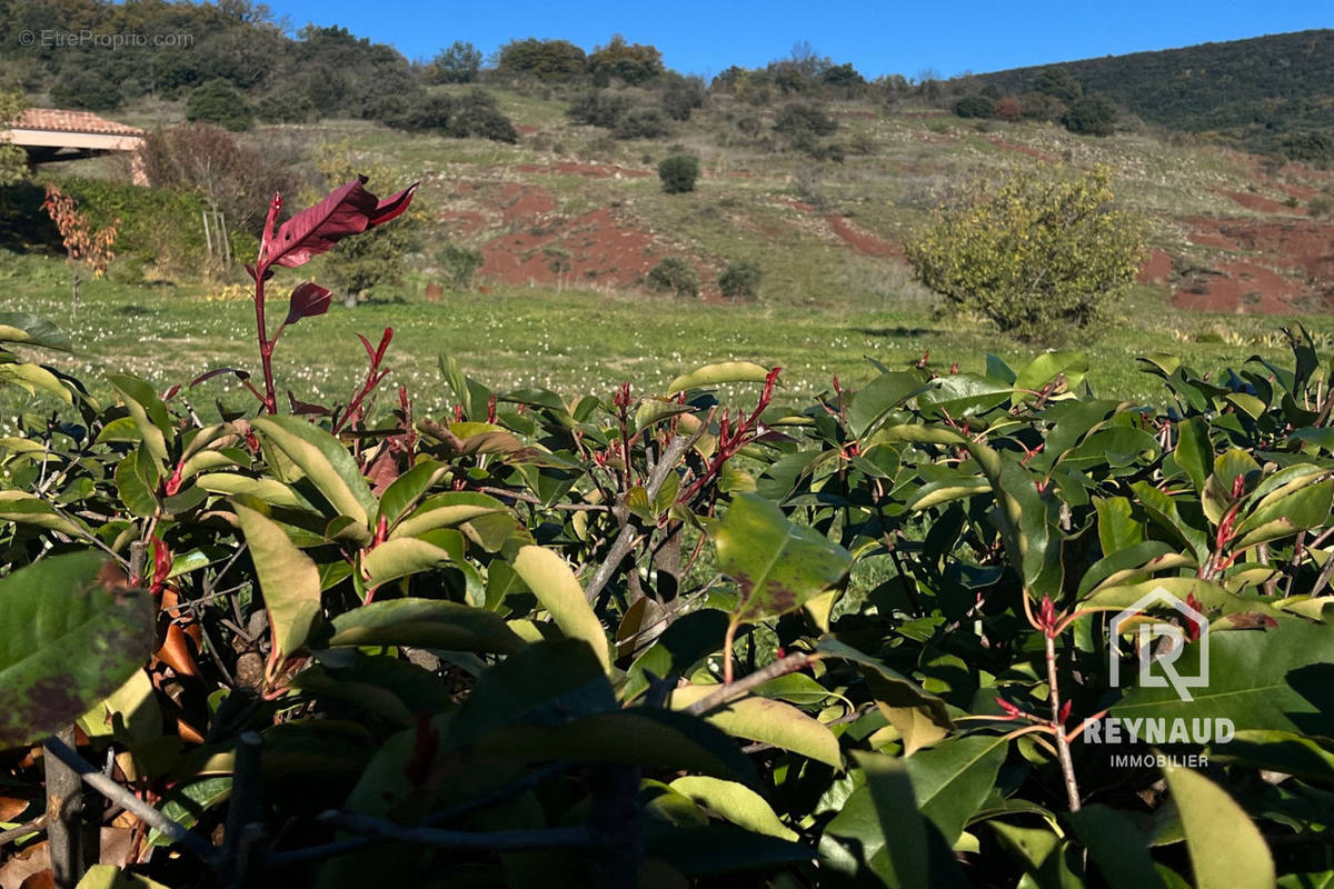 Terrain à OCTON