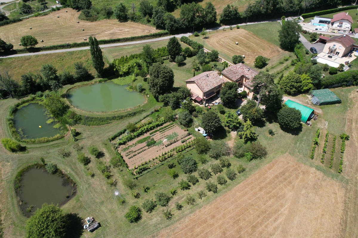 Maison à REVEL-TOURDAN