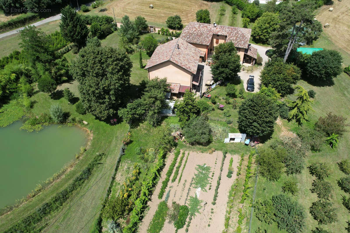 Maison à REVEL-TOURDAN