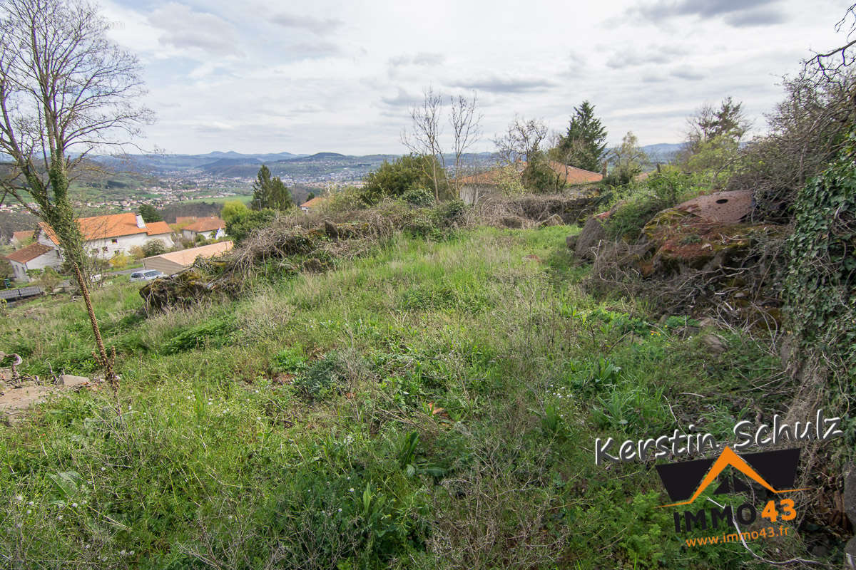 Terrain à POLIGNAC