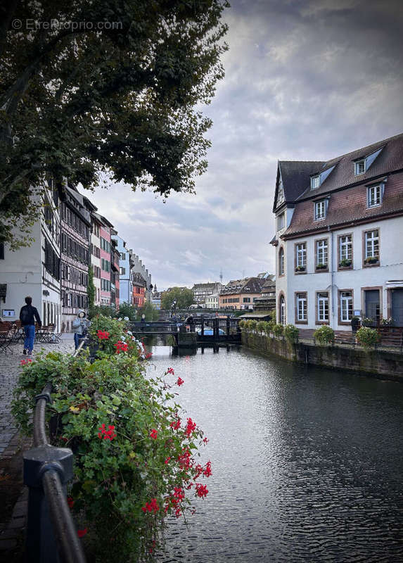 Commerce à STRASBOURG