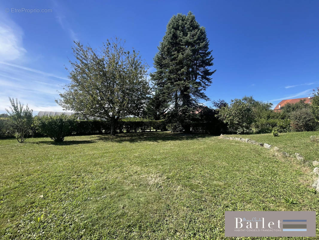 terrain chalet - Maison à BONS-EN-CHABLAIS