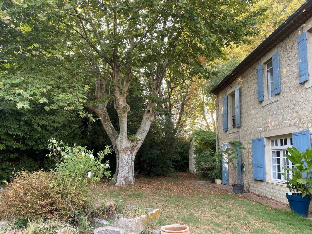 Maison à BEAUCAIRE