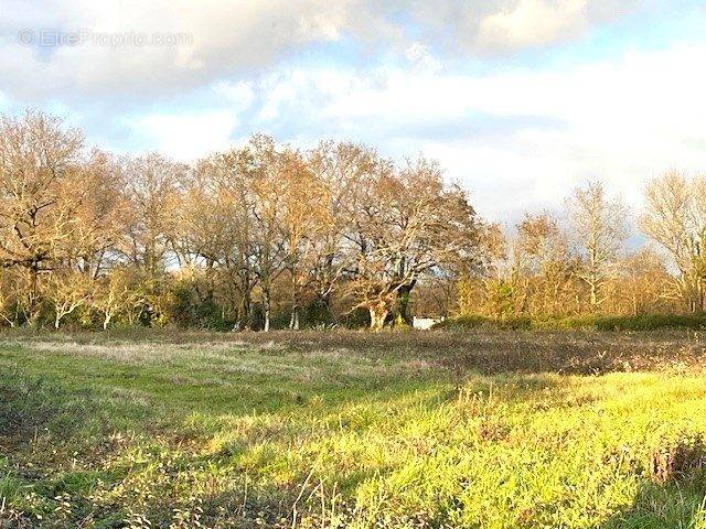 Terrain à LE CELLIER