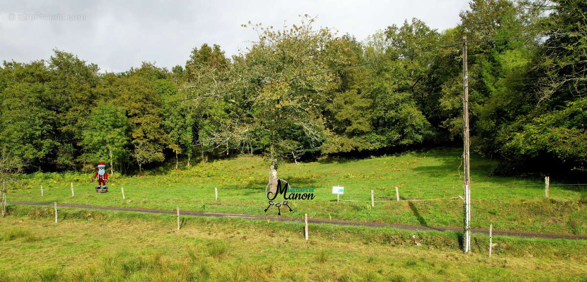 Terrain à SAINT-LEGER-LA-MONTAGNE