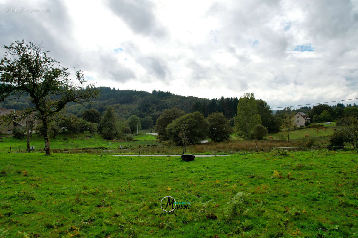 Terrain à SAINT-LEGER-LA-MONTAGNE