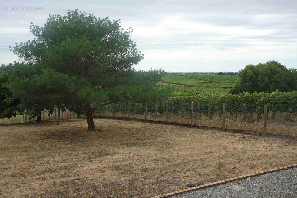 Maison à SAINT-CIERS-SUR-GIRONDE