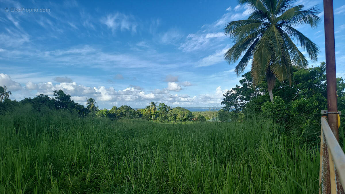 Terrain à GOYAVE