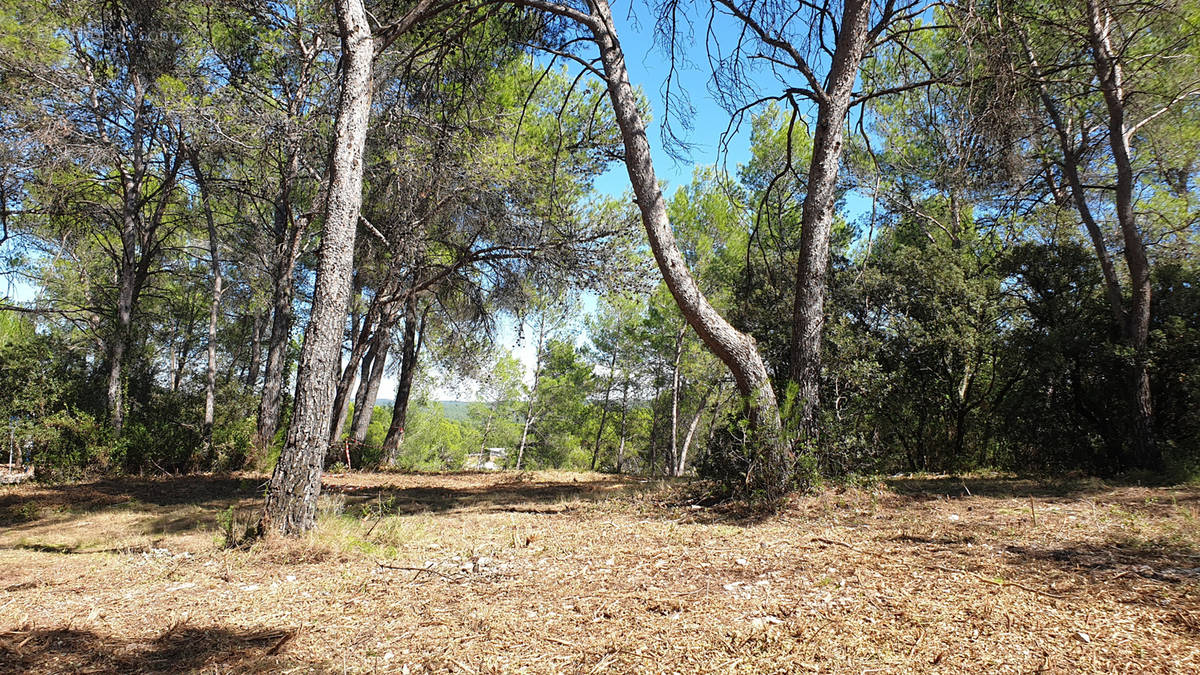 Terrain à SAINT-CLEMENT-DE-RIVIERE