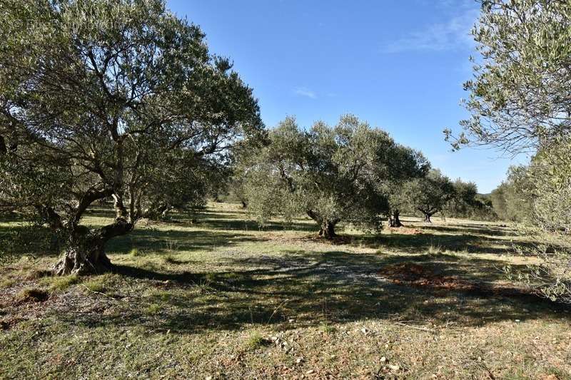 Terrain à FONTVIEILLE