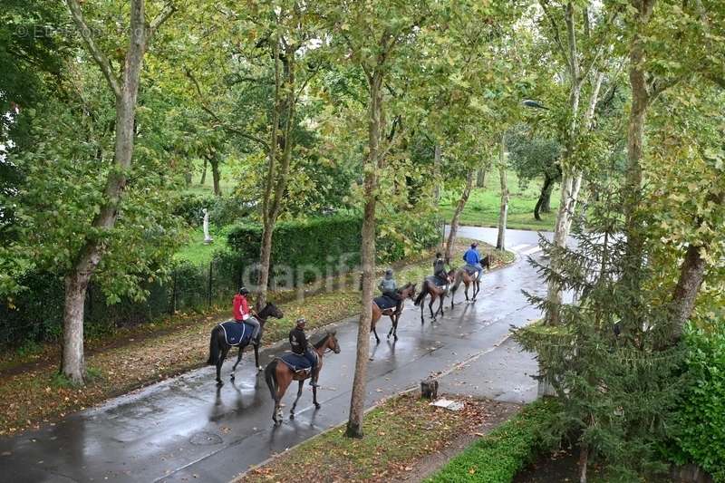 Appartement à MAISONS-LAFFITTE