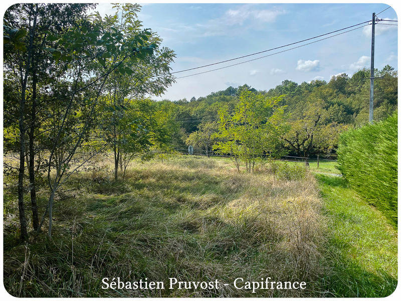 Terrain à SAINT-PIERRE-DE-COLE