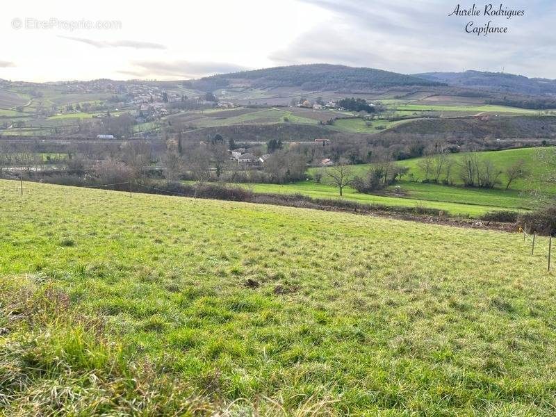 Terrain à BERZE-LA-VILLE