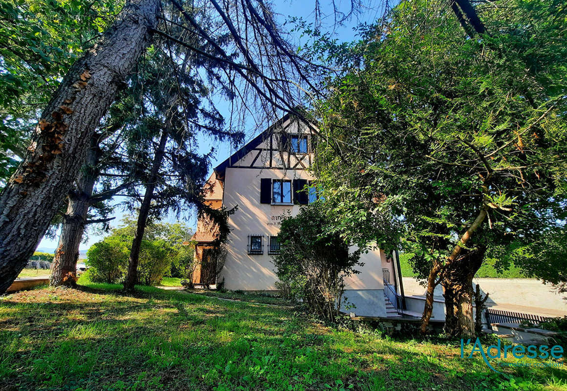 Appartement à INGERSHEIM