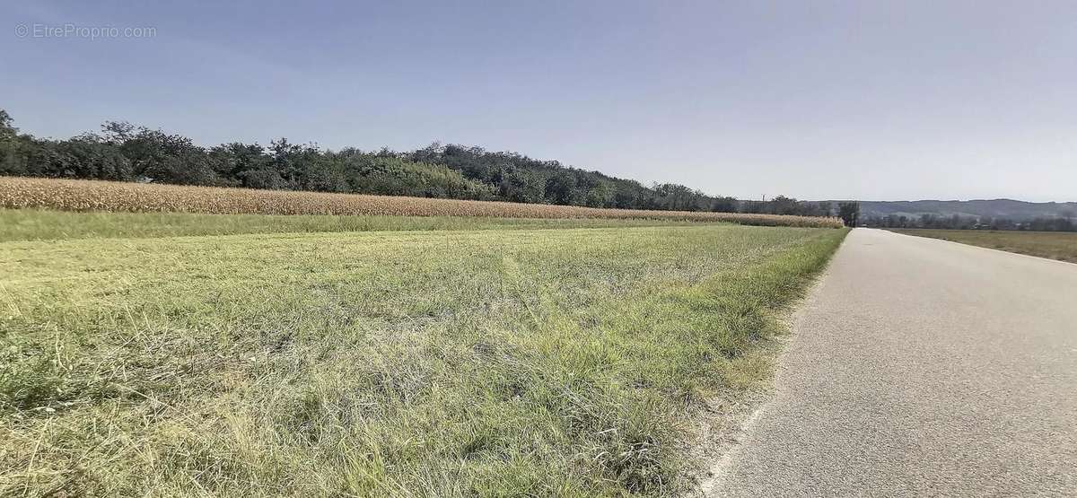 Terrain à CHAPONNAY