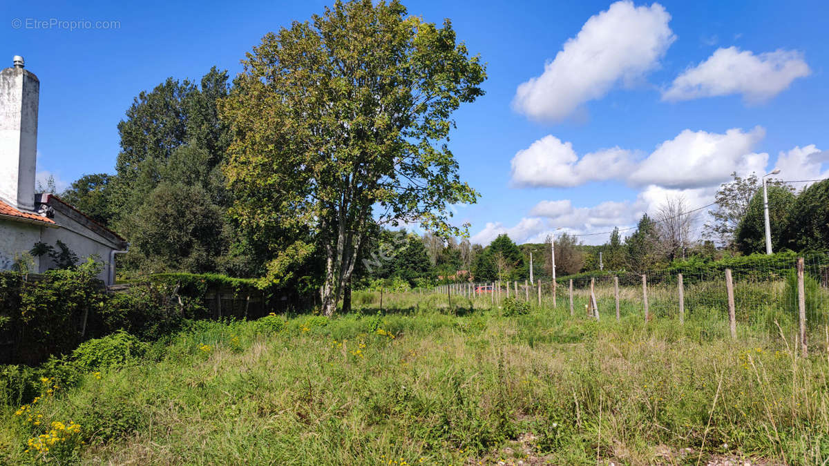 Terrain à CUCQ