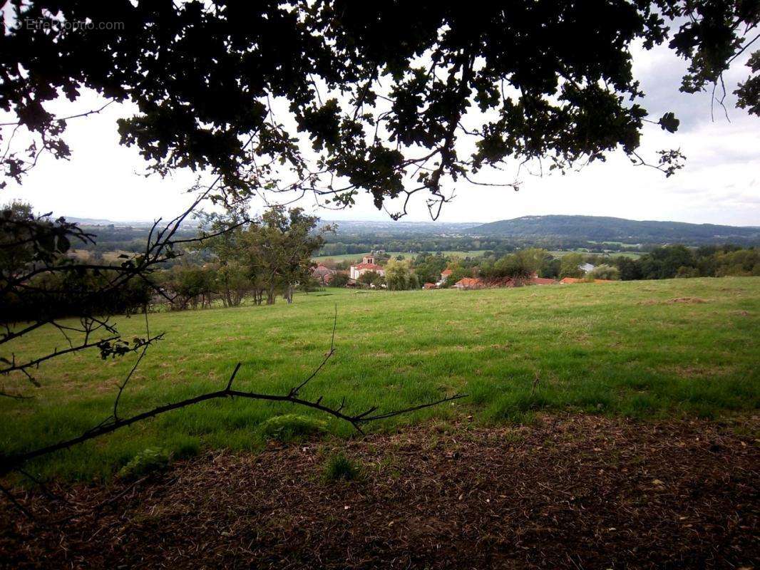 Terrain à BILLOM