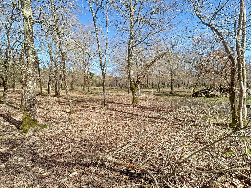 Terrain à GUJAN-MESTRAS