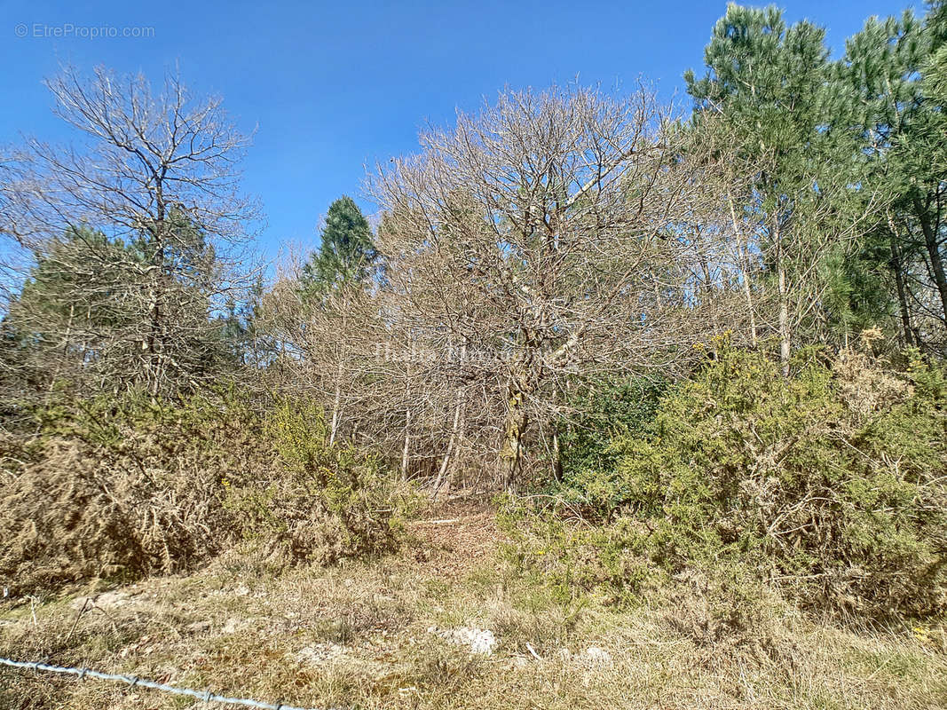 Terrain à GUJAN-MESTRAS