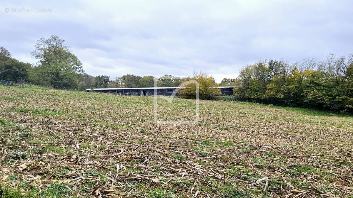 Terrain à USSAC