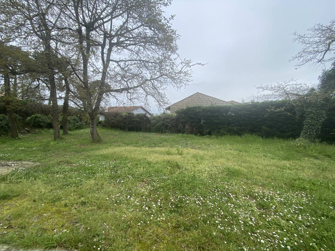 Terrain à SAINT-GEORGES-DE-DIDONNE